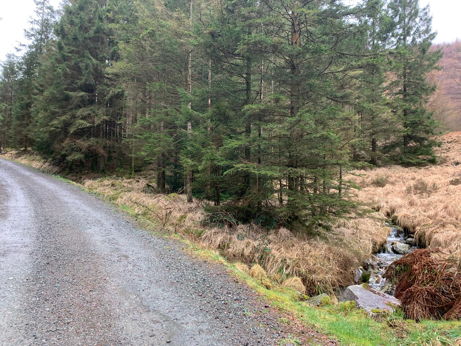 A Short Afternoon Walk up Harter Fell (Eskdale) | Lake District National Park