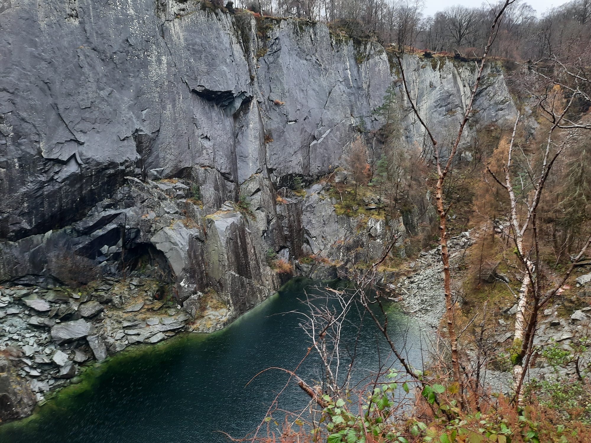 Hodge Close Quarry and Holme Fell | Short Walk in the Lake District